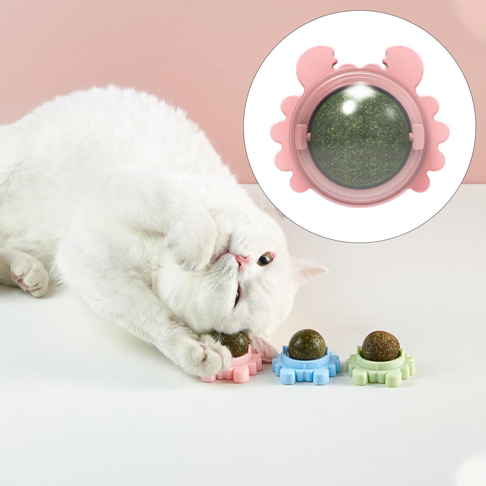 PureCare™ - 100% Natuurlijk Kattenkruid l Geef jouw 😻 plezier en gezonde stimulatie