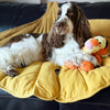 ComfyWoof™ - Bladvorm Mat en Deken l Laat jouw hond comfortabel en zacht relaxen of slapen op de mat