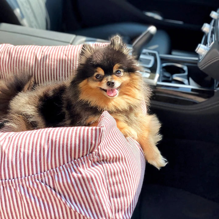 Pupseat™ - Honden autostoeltje Incl. Riem | Geef je 🐕 de veiligheid die het verdient!