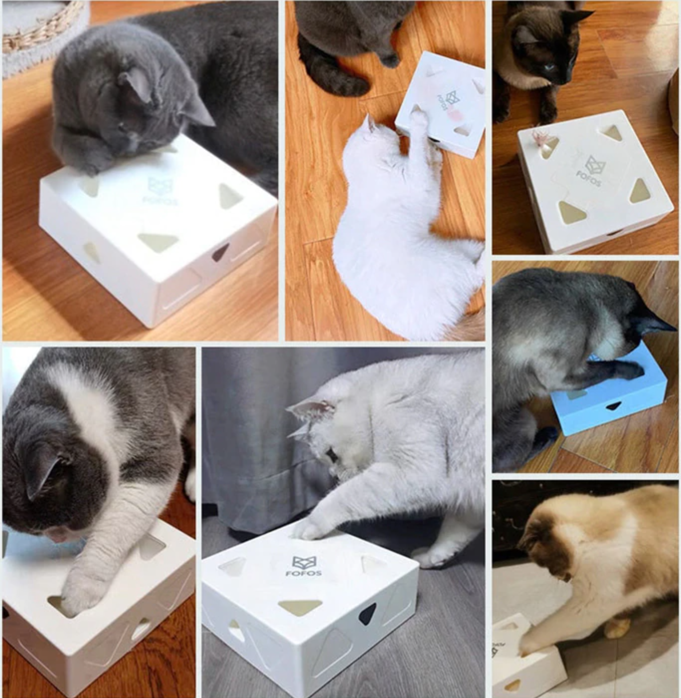FunCatBox™ | Eindeloos plezier voor je kat 🐾
