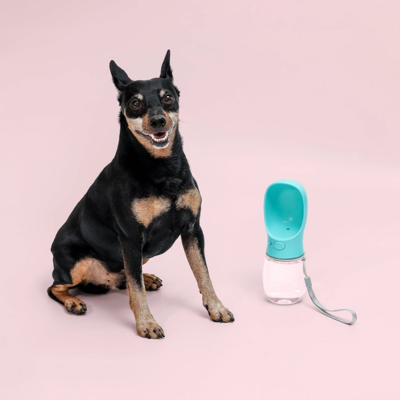 DoggieWare™ | Draagbare drinkbus voor jouw dorstige huisdier