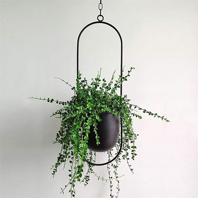 AirPlant™ – Plantenhanger | Decoratie – Scandinavisch – Strakke Uitstraling – Eenvoudig Ophangen – Past in Elke Ruimte