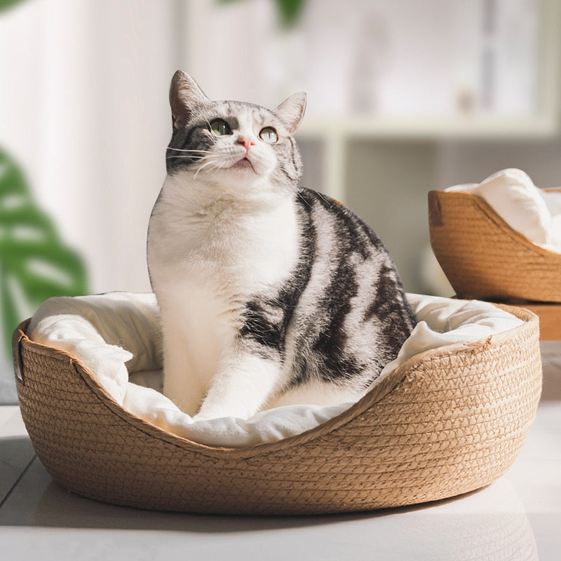 CatLounge™ - Handgewoven Kattenbed | Comfortabel - Rotan - Milieuvriendelijk Ademend materiaal