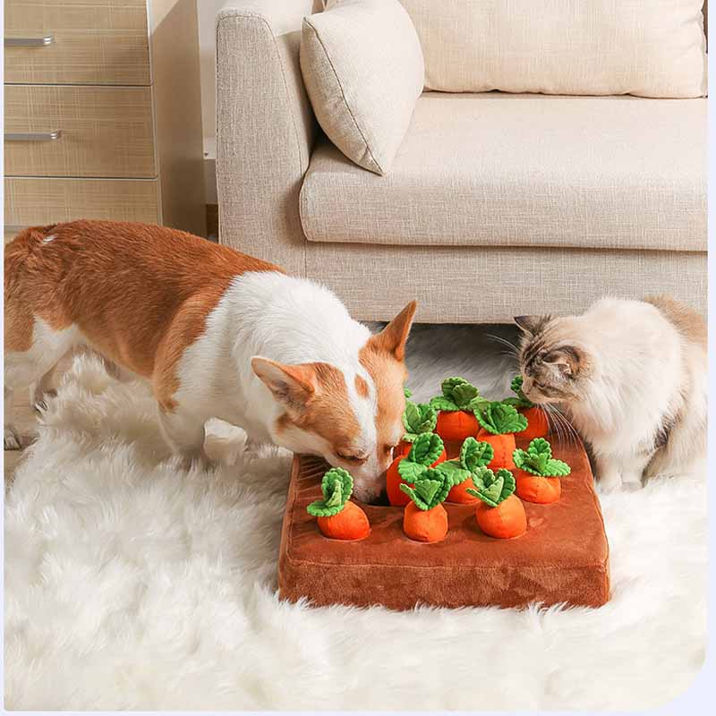 Carrots2Play™ - Wortelspel voor Honden | Stimuleert de zintuigen - Kwalitatief en Veilig - Anti-slip & Multifunctioneel - Zorgt voor extra speelplezier