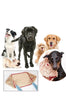 Afbeelding in Gallery-weergave laden, PetTowel™ - Hondenhanddoek | 2-in-1 Drogen en Masseren - Microfiber - Goed Absorberend - Ideaal na een Lekker Bad