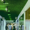 Buxus Indoor én Outdoor Plantenpaneel 60x40cm | Een groene muur ZONDER onderhoud