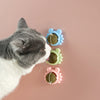 Afbeelding in Gallery-weergave laden, PureCare™ - 100% Natuurlijk Kattenkruid l Geef jouw 😻 plezier en gezonde stimulatie